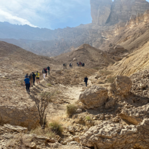 Jebel Hafeet cover image